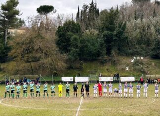 Colli Marittimi Libertas Barberino Tavarnelle