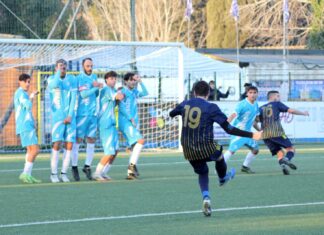 Dinamo Florentia Grevigiana 53