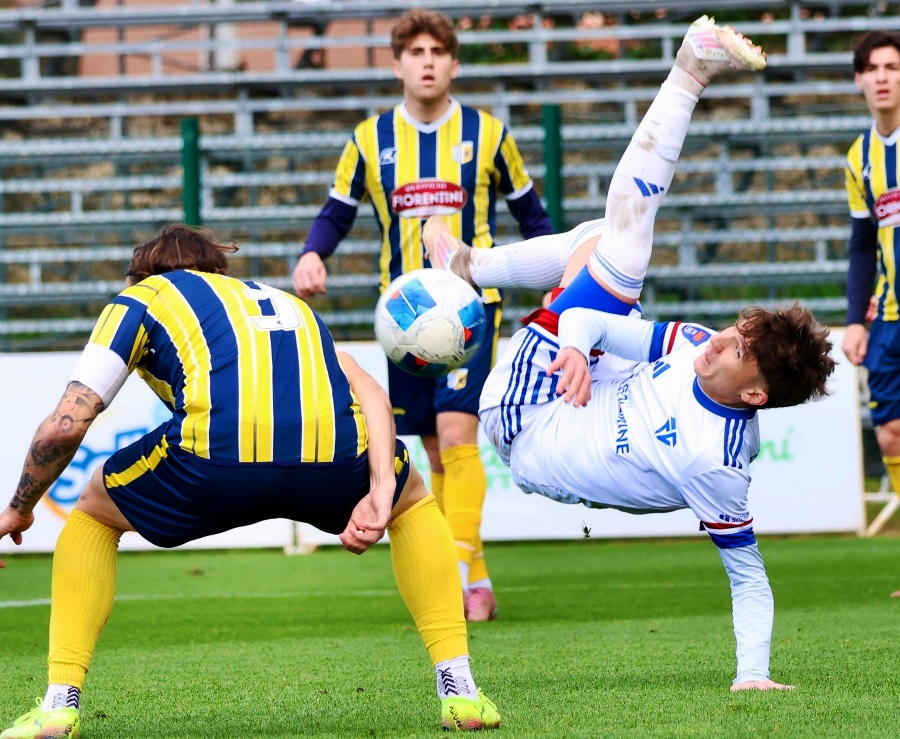 Follonica Gavorrano SDT