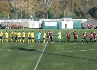 Galluzzo Gambassi P1040323
