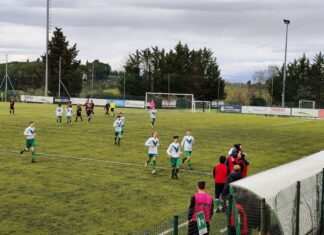 Sancascianese Invictasauro1