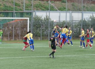 grassina figline P1040296