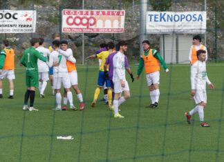 Chianti Nord Levane P1040403