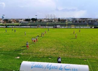 Cuoiopelli Libertas Barberino Tavarnelle