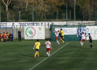 Galluzzo Quarrata P1040345