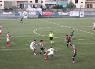 Rondinella Grassina IMG_5410