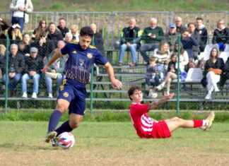 San Polo Grevigiana 4