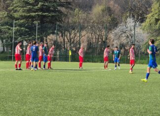 Tavarnuzze Casellina 3