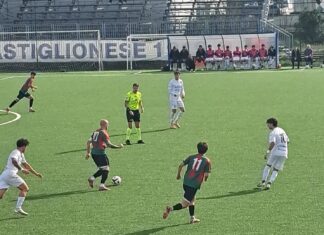 castiglionese grassina