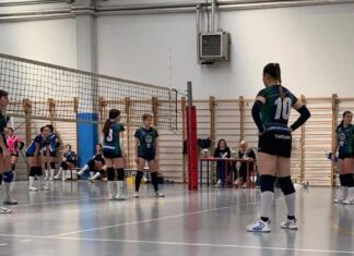 under 16 verde certosa