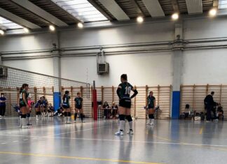 under 16 verde certosa volley