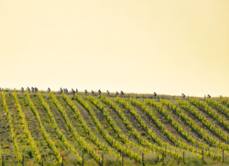 Eroica Montalcino Foto Aurora Bandinelli