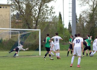 Grevigiana Mercatale 12