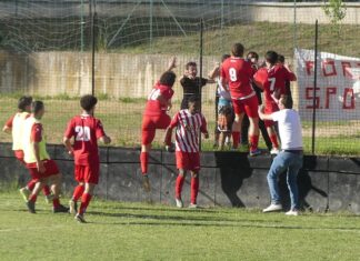 San Polo Tavarnuzze P1040471