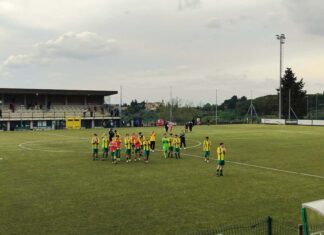 Sancascianese Cuoiopelli1