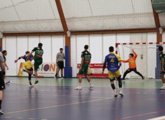 pallamano tavarnelle medicea