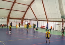 Serie B, la Pallamano Tavarnelle chiude il campionato con una bella vittoria contro La Torre
