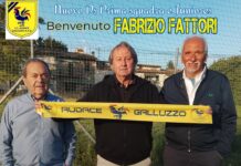 Audace Galluzzo, è Fabrizio Fattori il nuovo direttore sportivo gialloblù