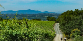 Eroica Montalcino: la decima edizione ha registrato la più alta presenza straniera degli ultimi anni