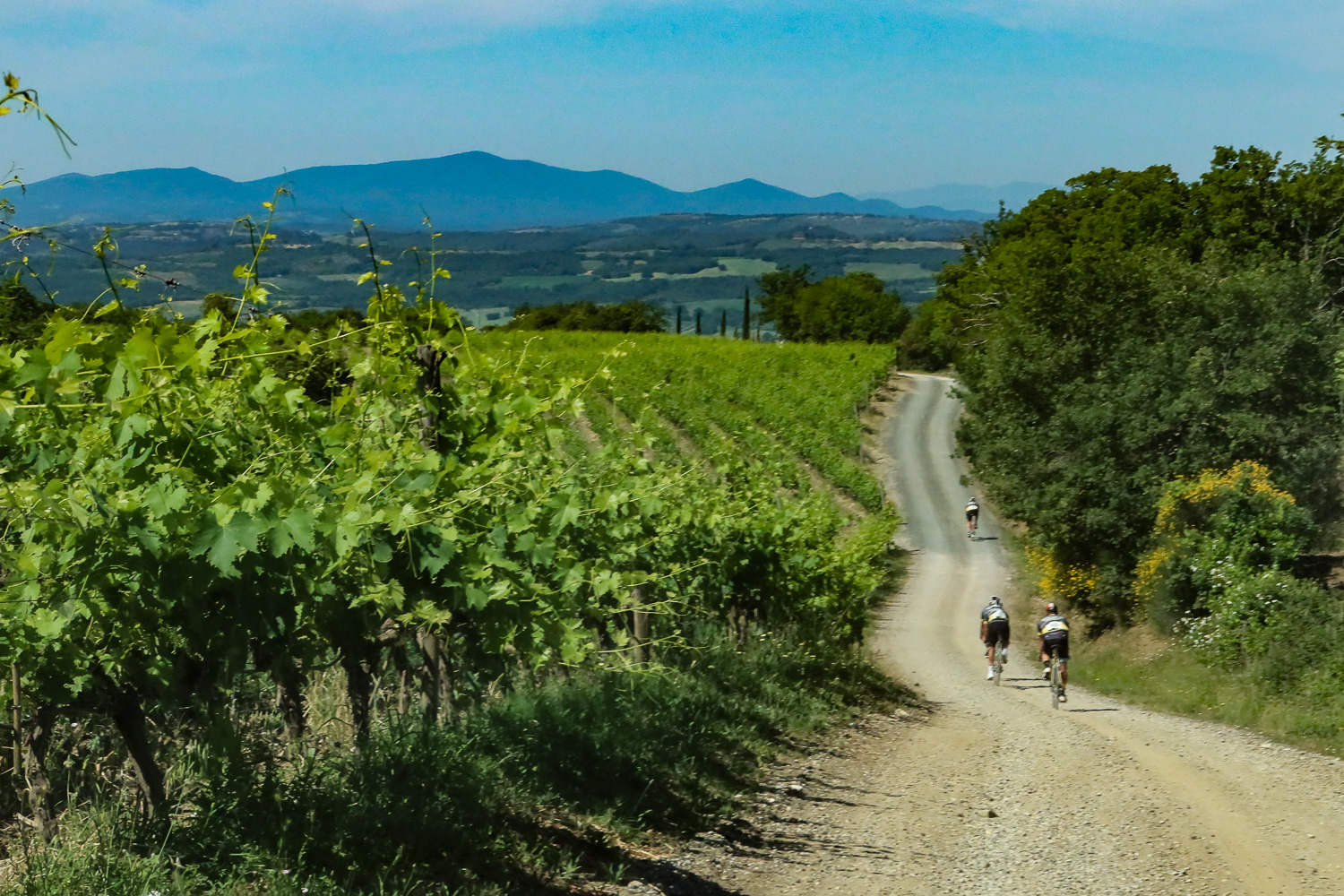 Eroica MOntalcino 2026_foto Guido Rubino1