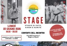 Empi Dojo, al campus estivo (c’è ancora qualche posto) anche un super stage aperto a tutti