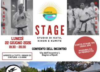Stage Empi Dojo