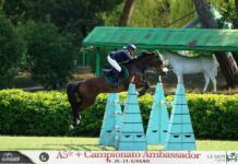 La barberinese Susanna Violanti vola ai Campionati Italiani Assoluti Ambassador (salto a ostacoli)