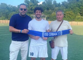 Tommaso Catolfi
