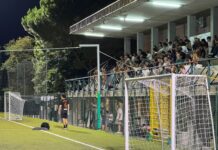 Champions Cup Fratres, quarti di finale da urlo: stadio pieno, grandissime emozioni
