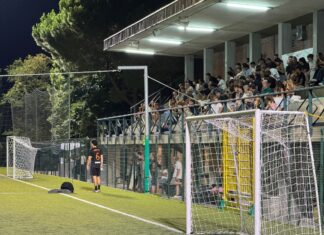 CCF pubblico