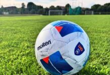 Serie D, ecco i due passaggi fondamentali su organici e calendari (e il Grassina spera…)