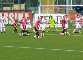 Grassina Lucchese IMG_20260823_163019