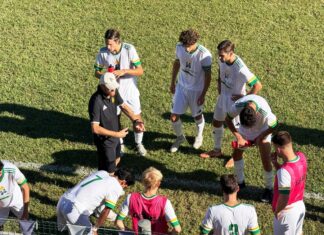 Castiglioncello Sancascianese 2-12