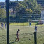 Cerbaia Invictasauro