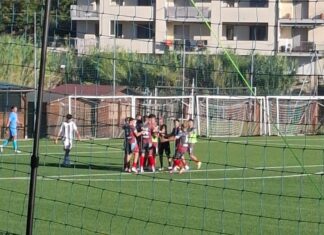 Cerbaia Invictasauro 4